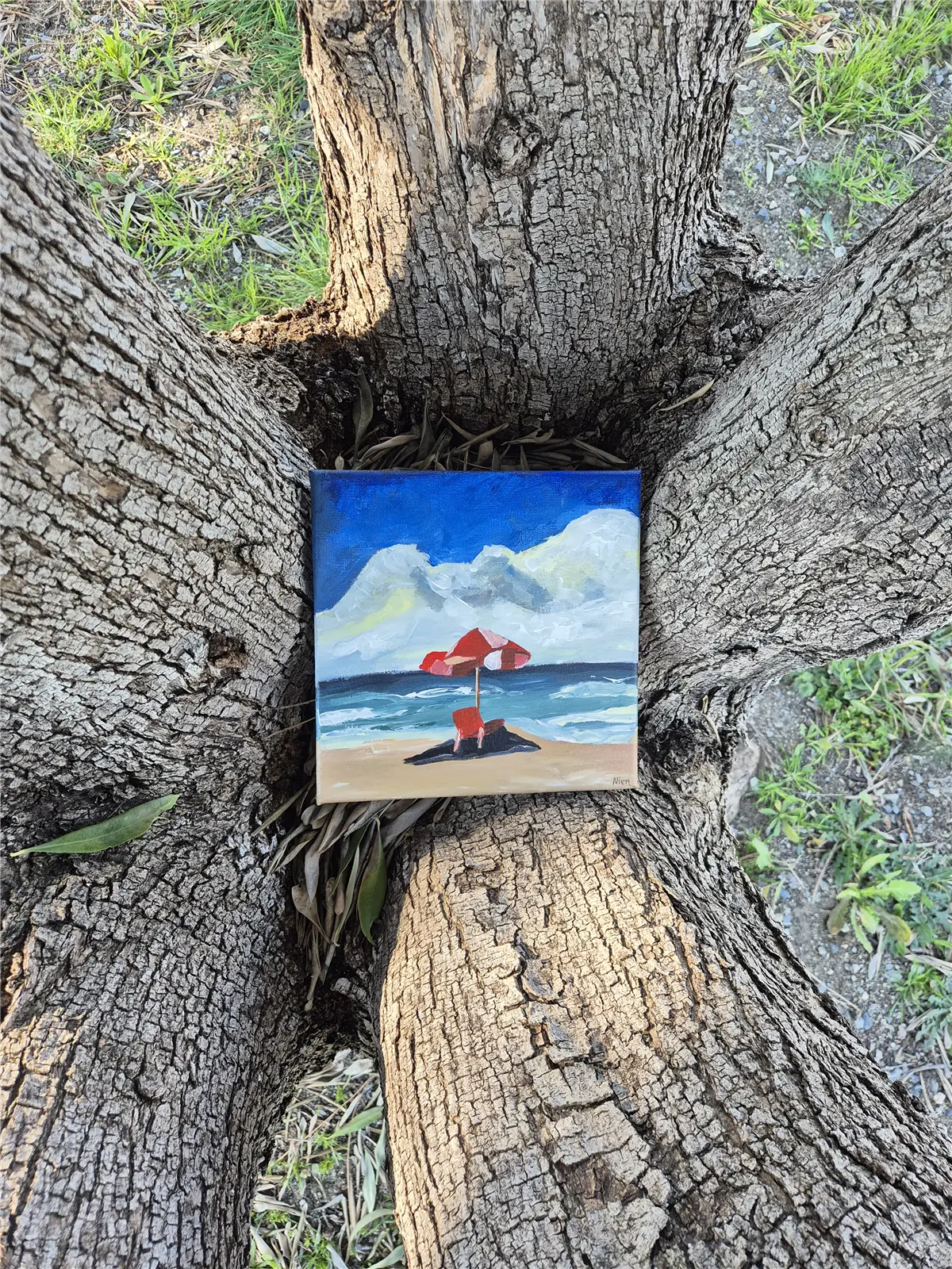 A small beach with a red umbrella, photographed in the fork of an olive tree